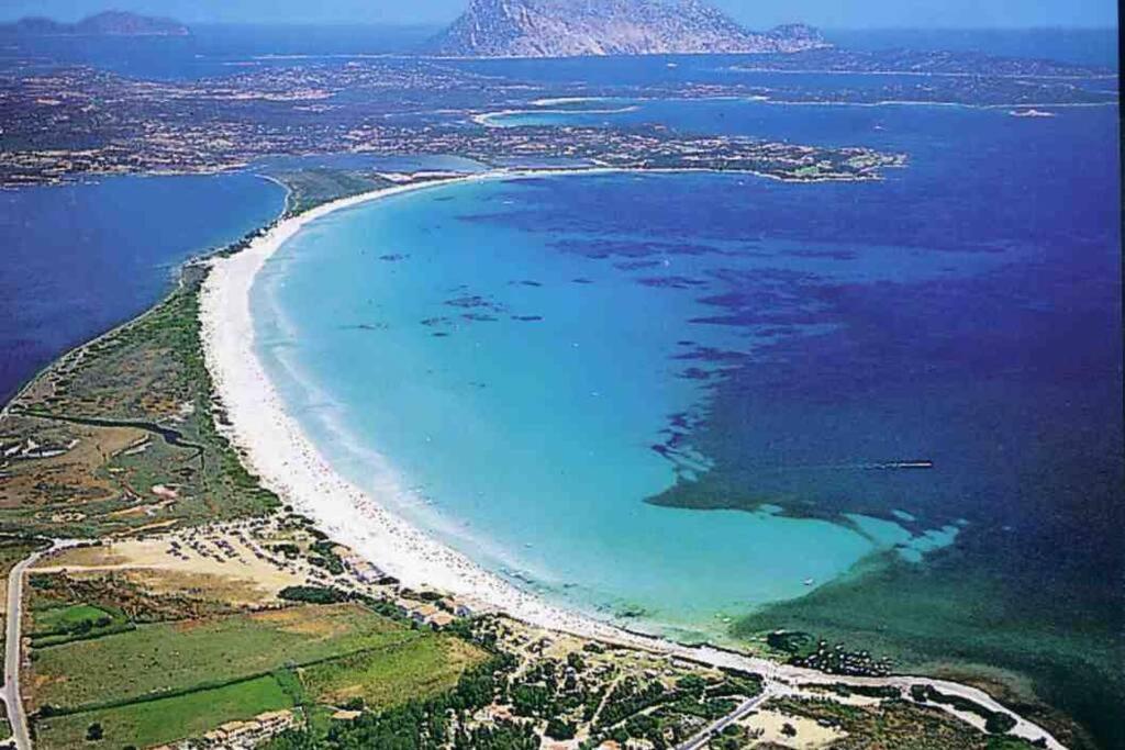 Villa Molly San Teodoro  Exteriör bild